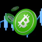 Why is Bitcoin Cash Price up Today?