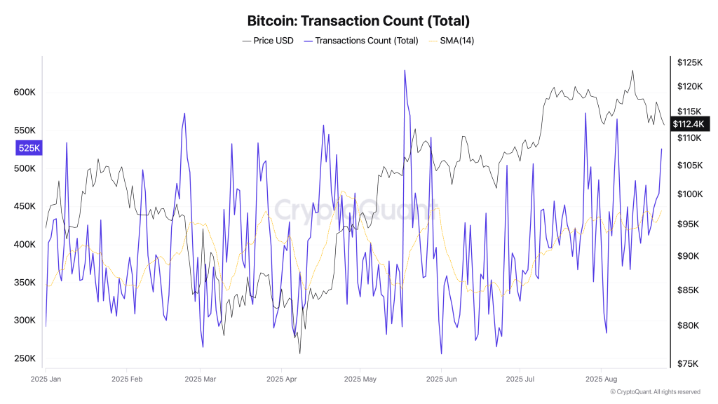 The hidden signal in Bitcoin’s 439k daily transactions and falling big trades