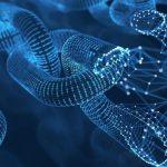 Blockchain-Ads Review: Is It the Best Advertising Platform?