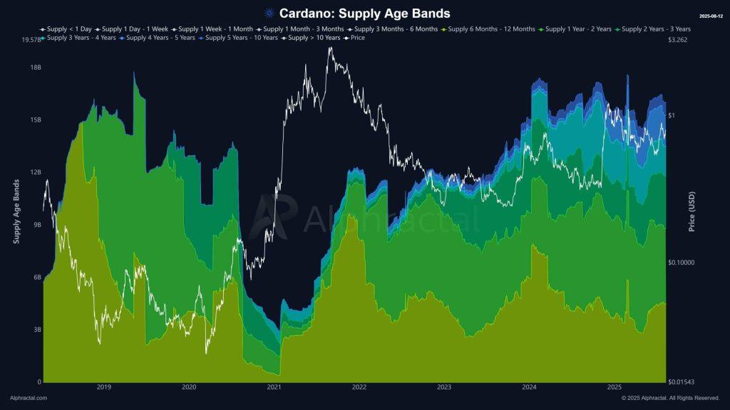 Long-term Cardano holders are not taking profit despite booming market, ETF speculation