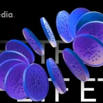 Can ETF Buzz Ignite the Next Rally for ADA Crypto?