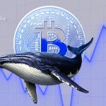 CryptoQuant CEO Ki Young Ju Says OG Whales Are Dragging the Market