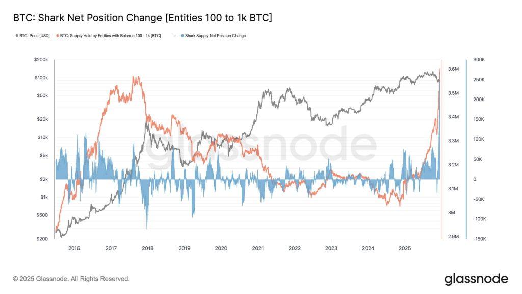Bitcoin’s viral $5 billion whale buy signal was actually a dangerous trap set by institutional accounting